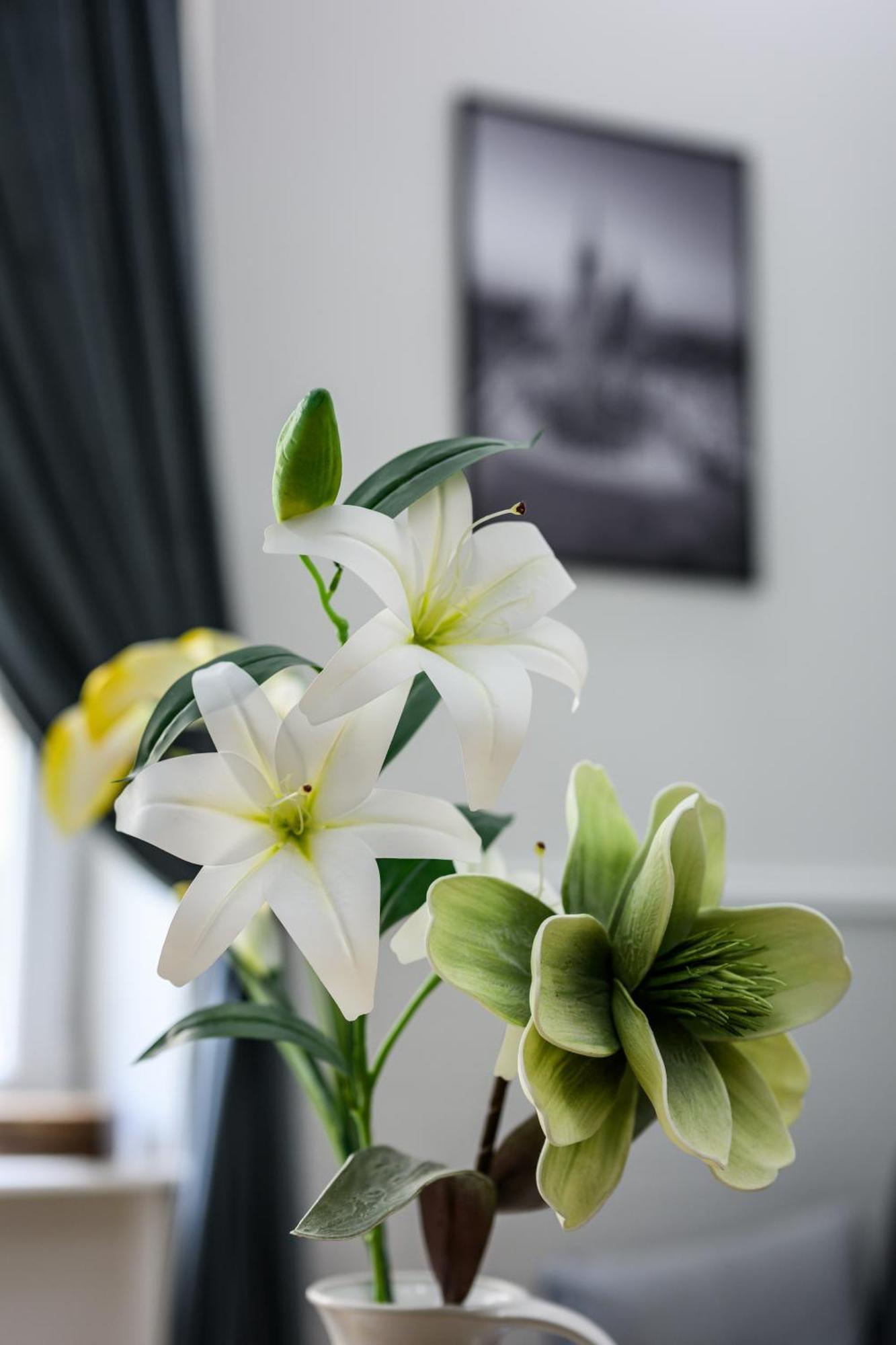 קרקוב Native Apartments Sereno Fenn'A 5 מראה חיצוני תמונה